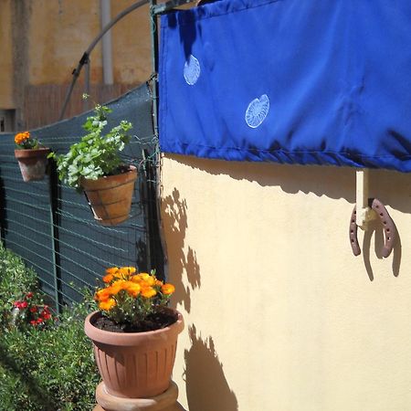 Stella Marina Delle 5 Terre Apartman Levanto Kültér fotó